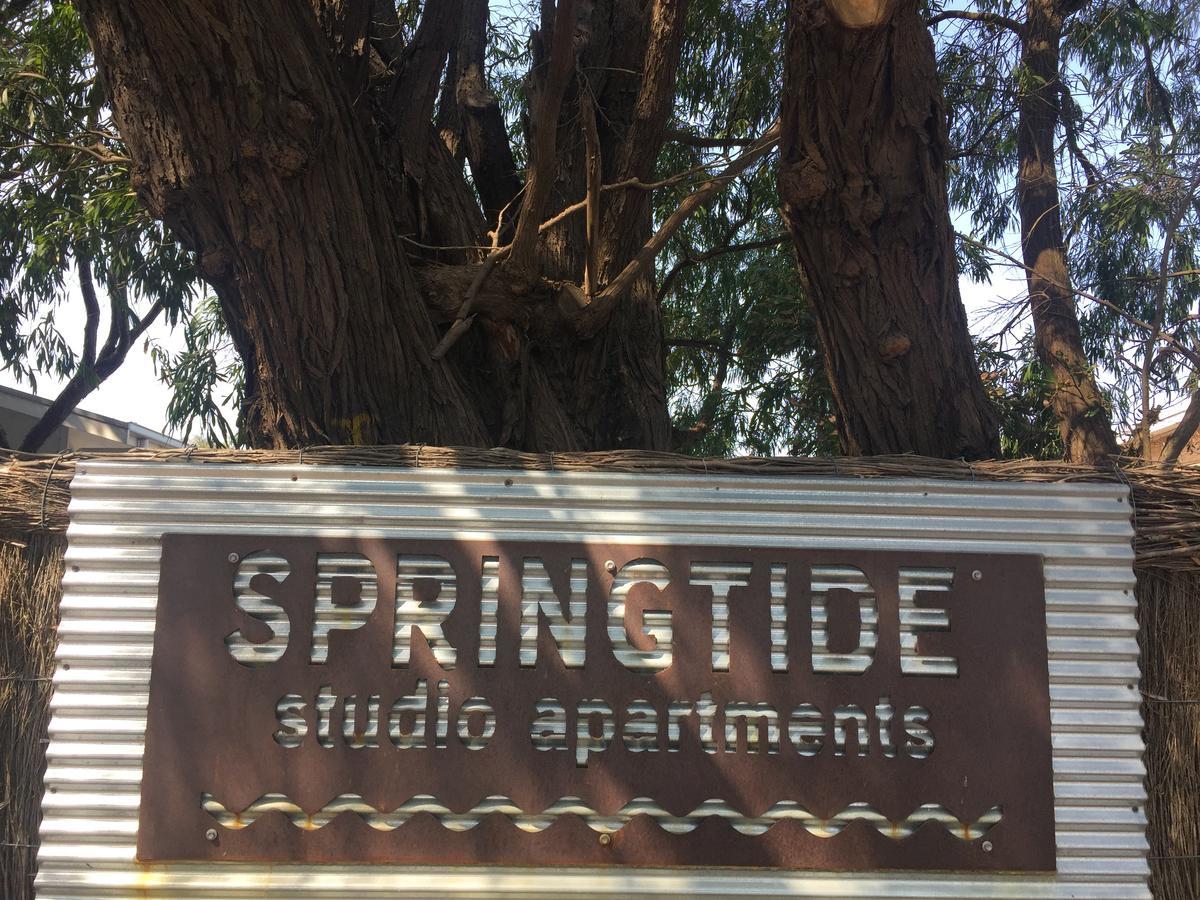 Springtide Studio Apartments Queenscliff Exterior foto